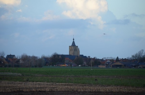 DSC_6373