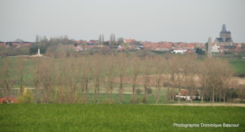 DSC_5349