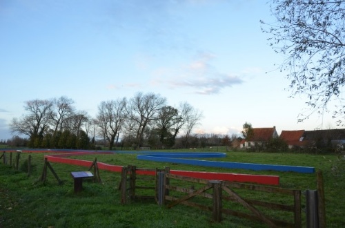 DSC_6377
