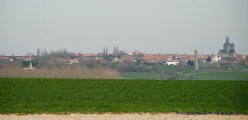 DSC_5335