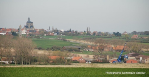 DSC_5350