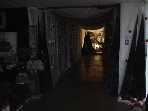 DSC05789