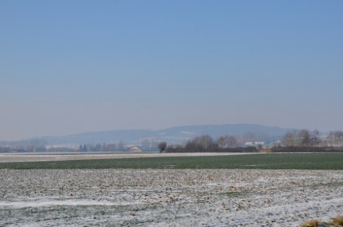 DSC_4845