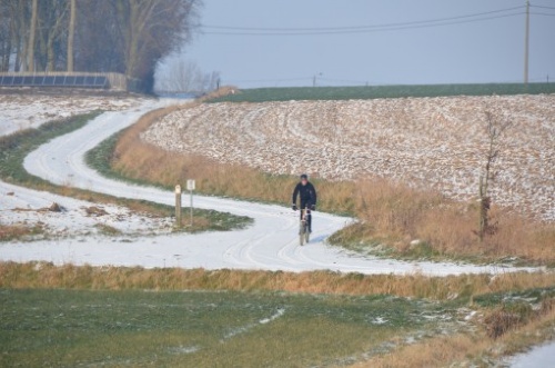 DSC_4850