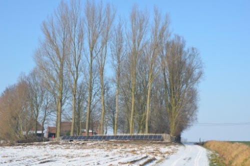 DSC_4856