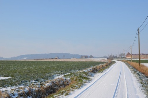 DSC_4870