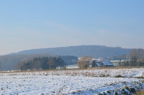 DSC_4881