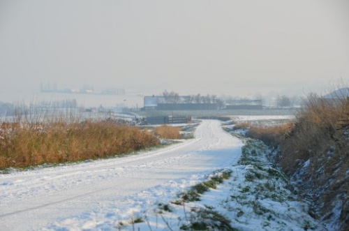 DSC_4896