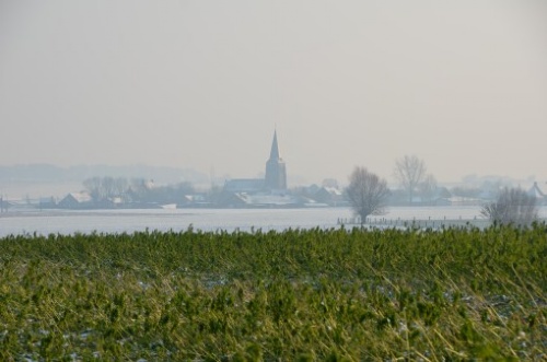 DSC_4911