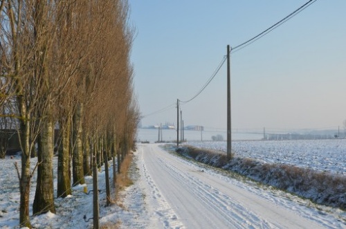 DSC_4926
