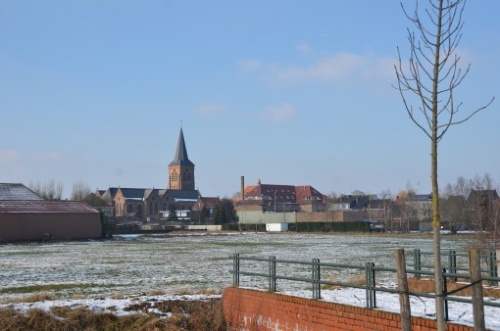 DSC_5000