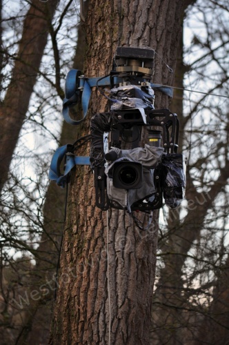 WK248camera
