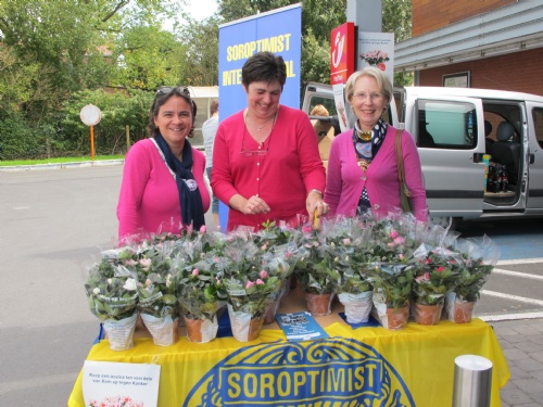 plantjes